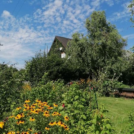 Dziewanna Apartment Brzeziniec Bagian luar foto