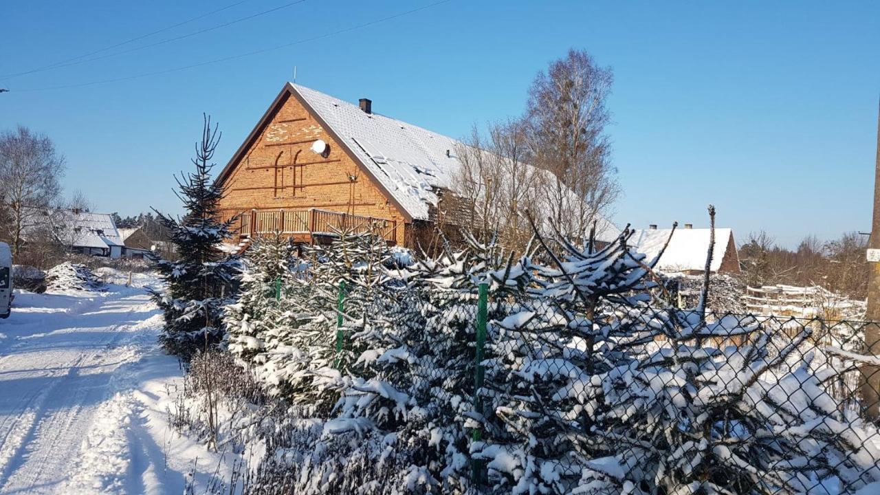 Dziewanna Apartment Brzeziniec Bagian luar foto