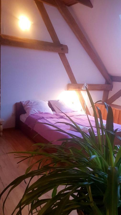 Dziewanna Apartment Brzeziniec Bagian luar foto